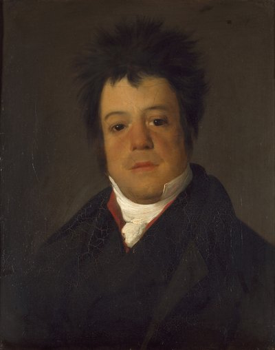 Retrato de Andriano Ribera Neves, siglo XIX de Domingos Antonio de Sequeira